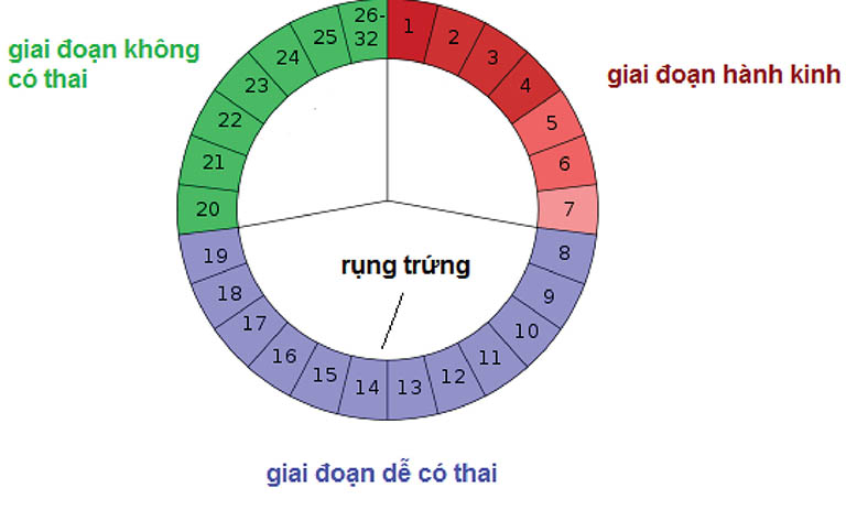 Tránh ngày rụng trứng