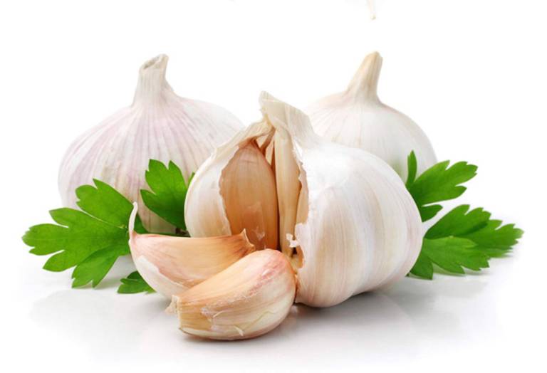 Chữa bệnh tổ đỉa bằng tỏi