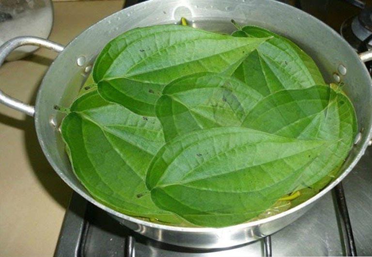 Chữa á sừng bằng lá trầu không