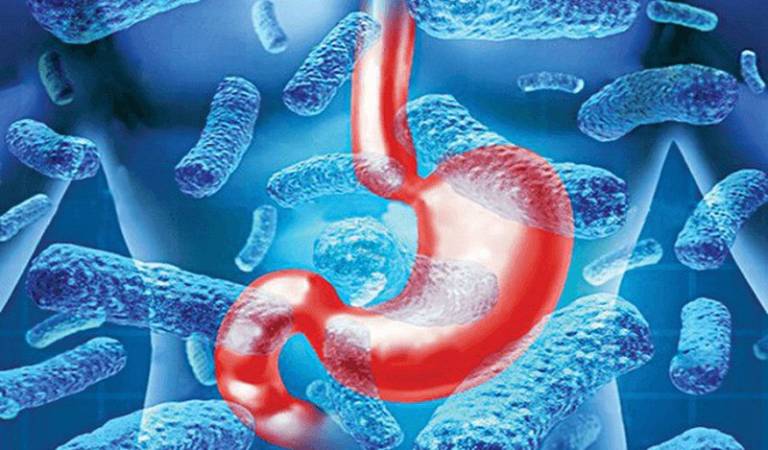 Nhiễm vi khuẩn HP: Nguyên nhân, Triệu Chứng, Cách Điều trị