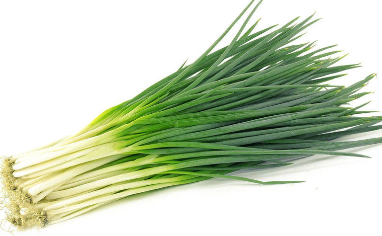 Bệnh á sừng ở chân