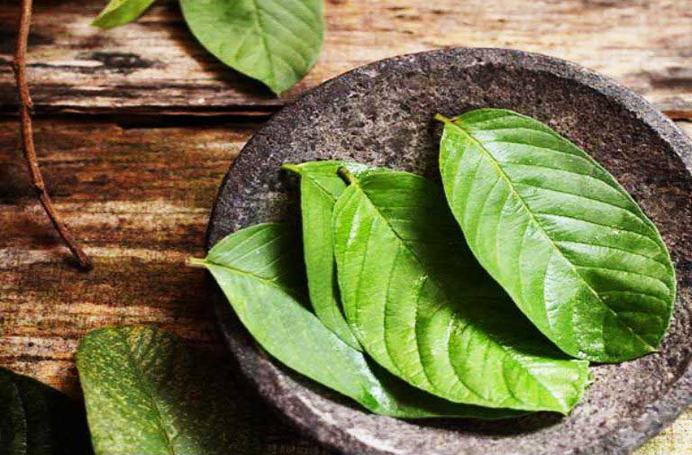 Bệnh chàm nước