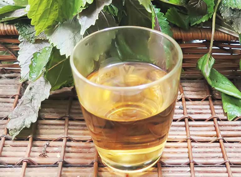 Cách chữa viêm da cơ địa bằng lá tía tô giảm ngứa hiệu quả