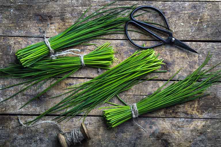 Cách trị ho ngứa cổ họng