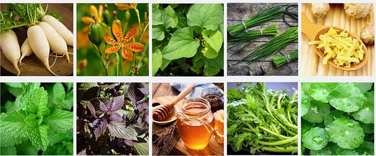 Cách trị ho ngứa cổ họng