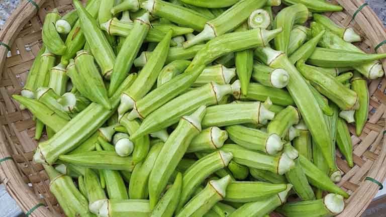Rối loạn cương dương nên ăn gì để tẩm bổ và cải thiện?