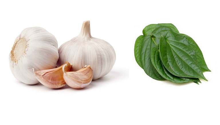 5 cách áp dụng hiệu quả chữa bệnh tổ đỉa bằng lá trầu không