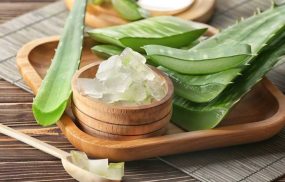 Chữa trào ngược dạ dày bằng nha đam hiệu quả không?