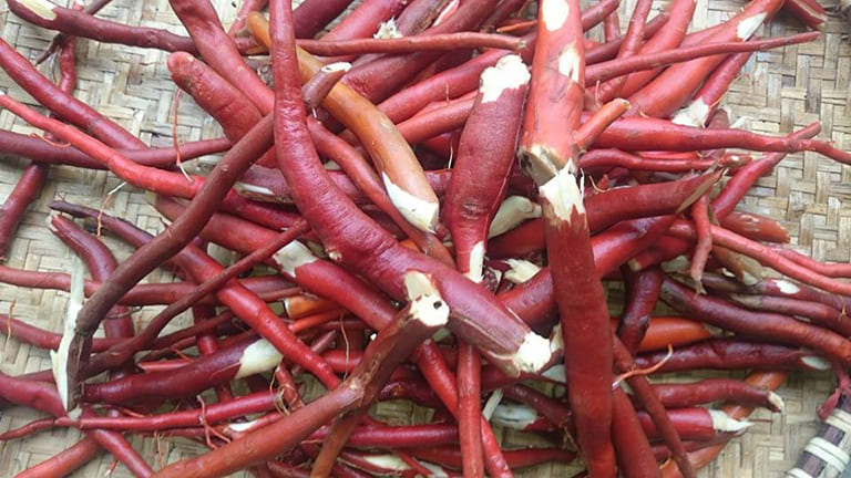 chữa yếu sinh lý không cần thuốc