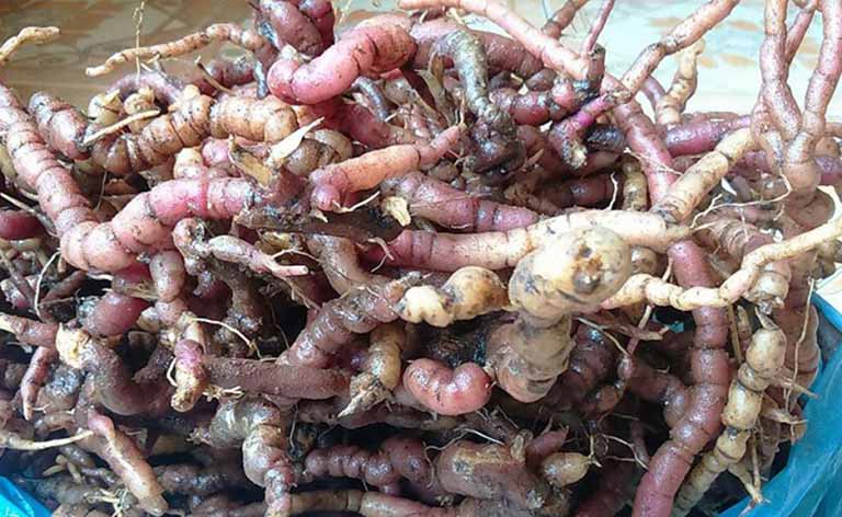 chữa yếu sinh lý không cần thuốc