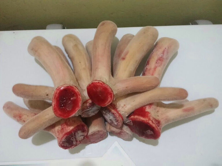 chữa yếu sinh lý không cần thuốc