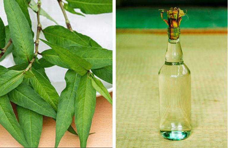 hắc lào ở háng