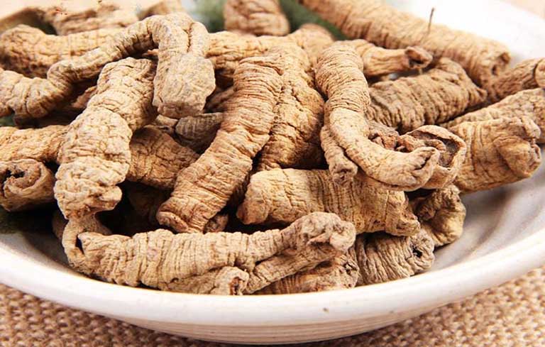3 cách chữa yếu sinh lý bằng ba kích cải thiện phong độ