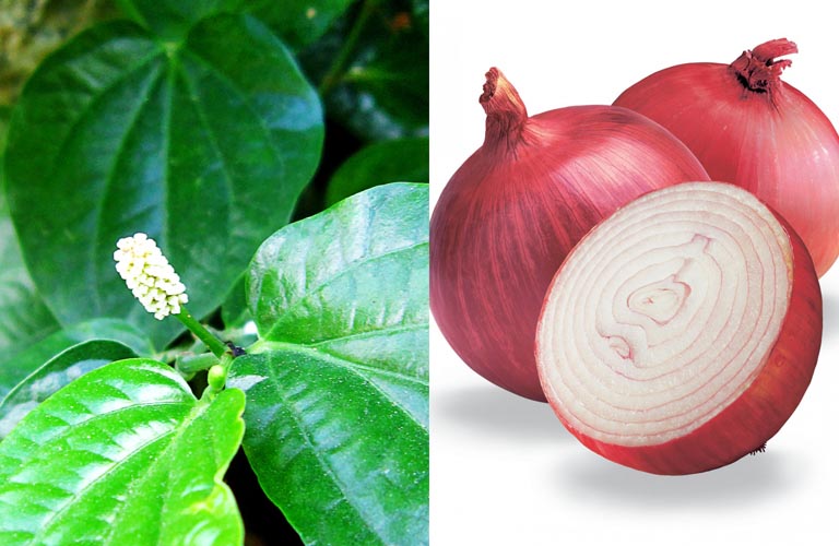 4 Cách sử dụng lá lốt trong điều trị yếu sinh lý