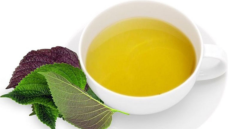 5 Cách chữa đau dạ dày bằng lá tía tô