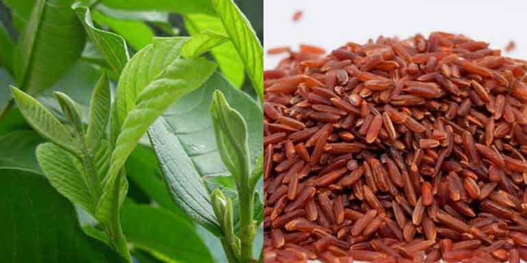 Dùng gạo lứt chữa đau dạ dày như thế nào?