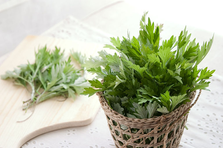 bài thuốc đắp chữa thoát vị đĩa đệm