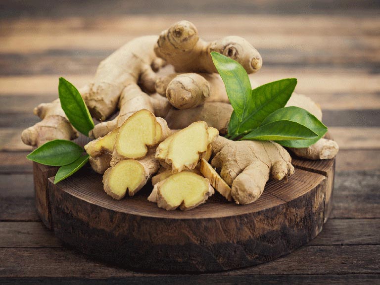 bài thuốc đắp chữa thoát vị đĩa đệm