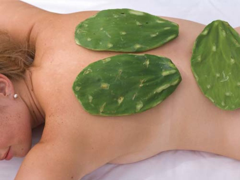 Thuốc đắp chữa thoát vị đĩa đệm