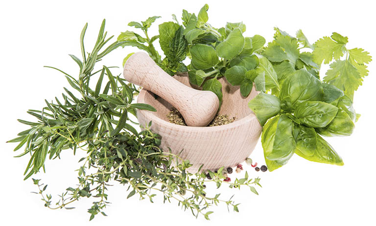 bài thuốc đắp chữa thoát vị đĩa đệm