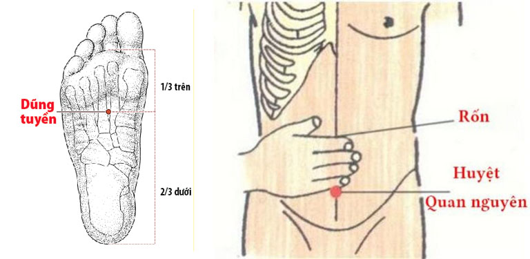 xoa bóp bấm huyệt chữa yếu sinh lý