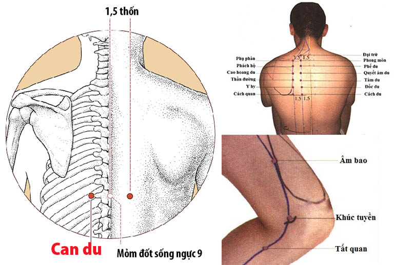 xoa bóp bấm huyệt chữa yếu sinh lý