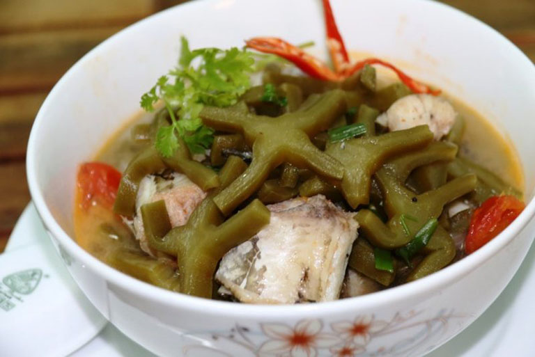 chữa thoát vị đĩa đệm bằng cây xương rồng chỉ 1 lần là khỏi hẳn