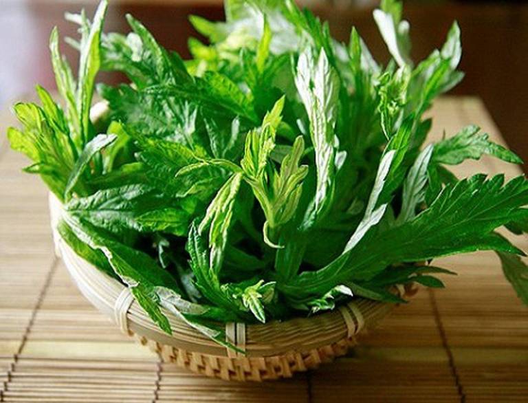 Chữa thoát vị đĩa đệm bằng ngải cứu có mang lại hiệu quả?