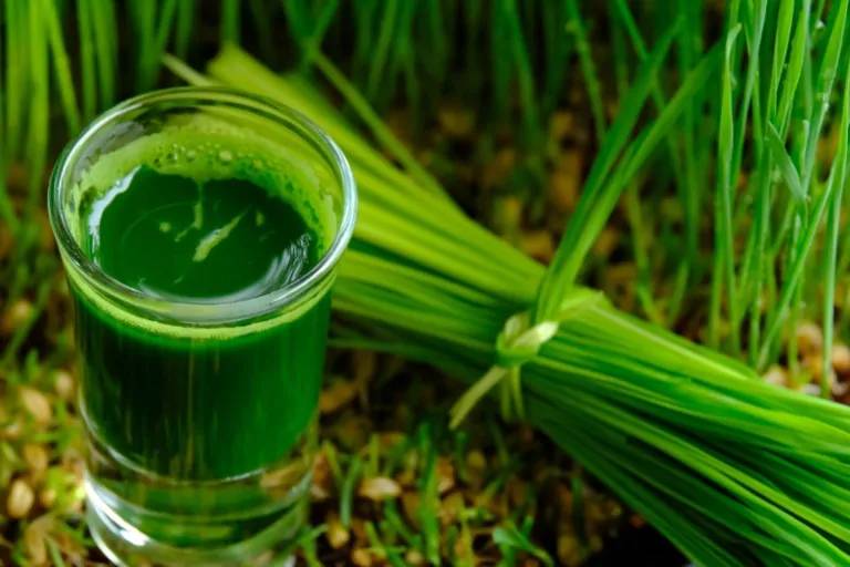 Lá hẹ chữa xuất tinh sớm