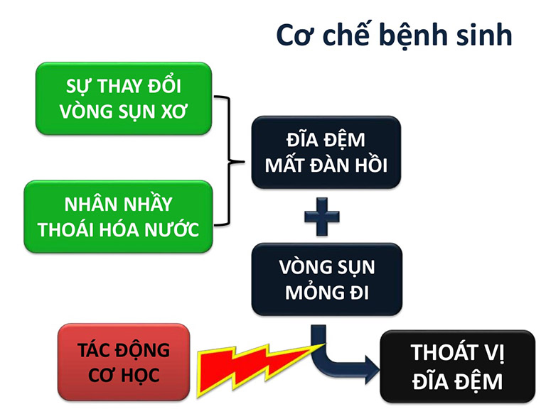 thoát vị đĩa đệm cột sống thắt lưng l5 s1