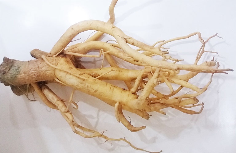 thuốc nam chữa yếu sinh lý nữ