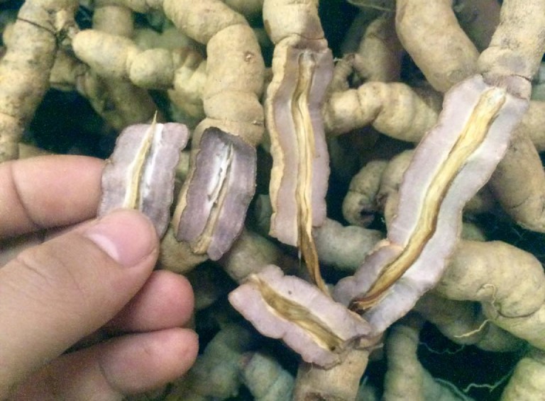 thuốc nam chữa yếu sinh lý nữ