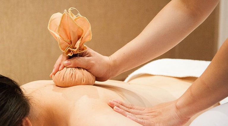cây dền gai chữa thoái hóa cột sống