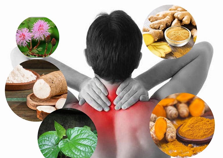 chữa đau mỏi vai gáy bằng thuốc Nam
