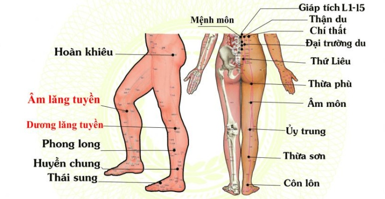 Hướng dẫn cách châm cứu chữa đau thần kinh tọa