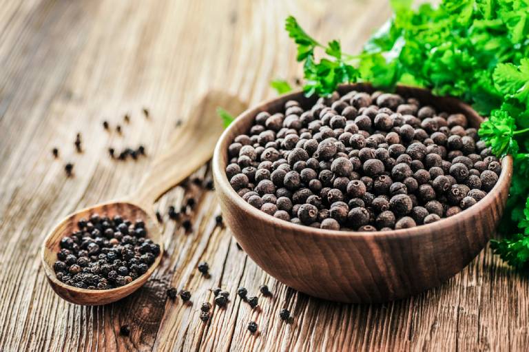 Bài thuốc từ hạt đu đủ chữa thoát vị đĩa đệm