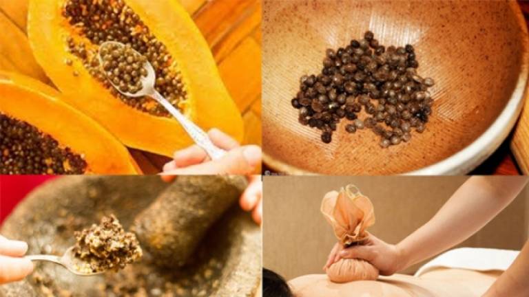 Đắp hạt đu đủ chữa thoát vị đĩa đệm