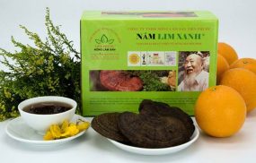 Nấm Lim Xanh Tiên Phước - Tác dụng, giá bán, điểm mua uy tín