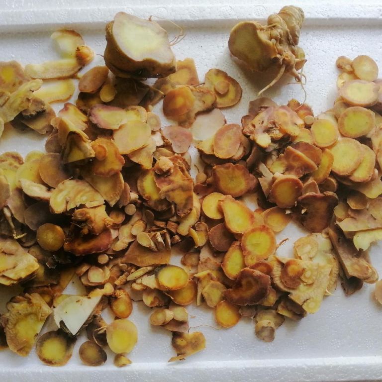 Hướng dẫn cách dùng sâm Ngọc Linh ngâm mật ong