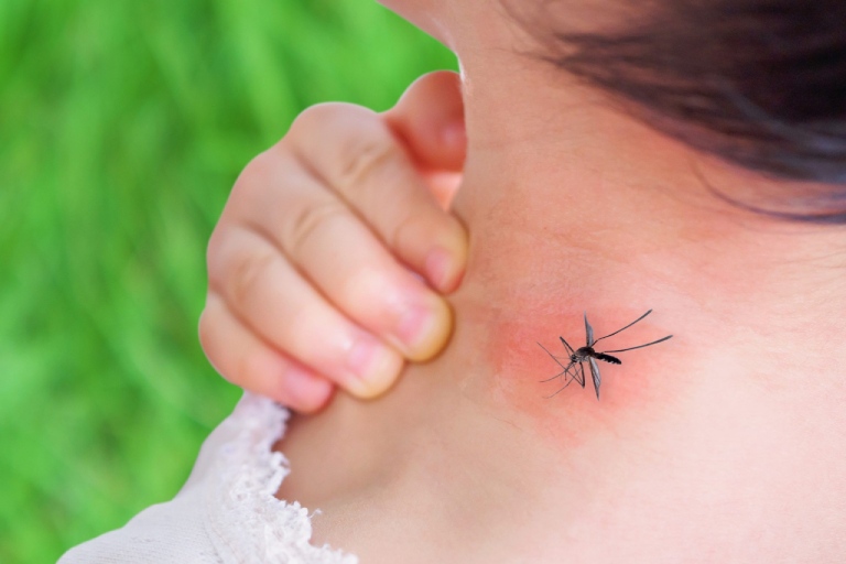 Bệnh sốt xuất huyết là gì?