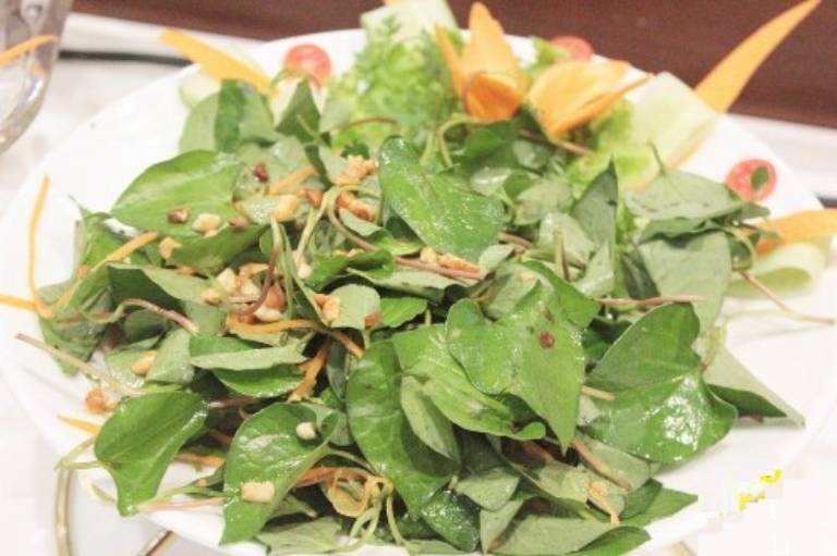 Ăn rau diếp cá chữa bệnh trĩ cho bà bầu 