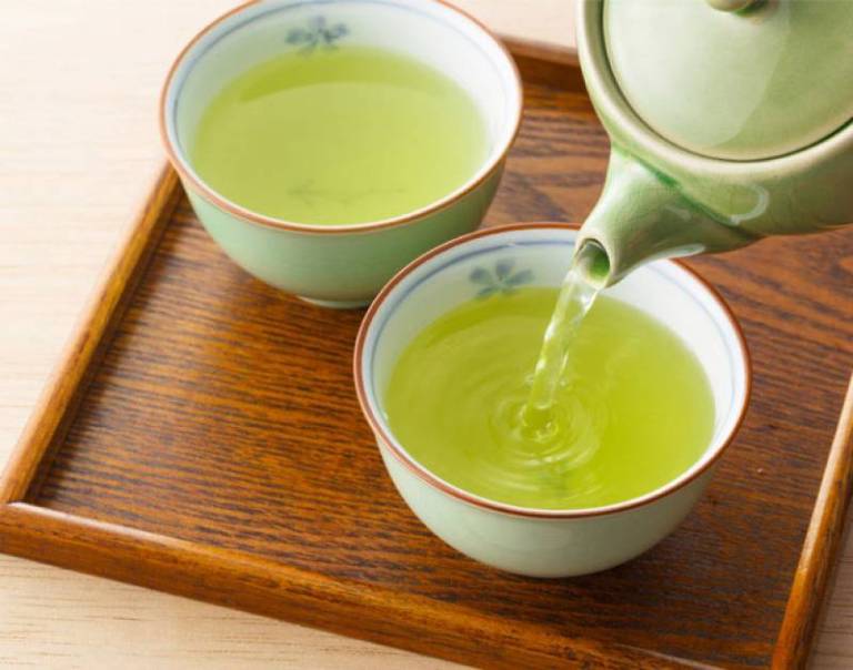 Dùng nước sắc lá diếp cá chữa bệnh lý
