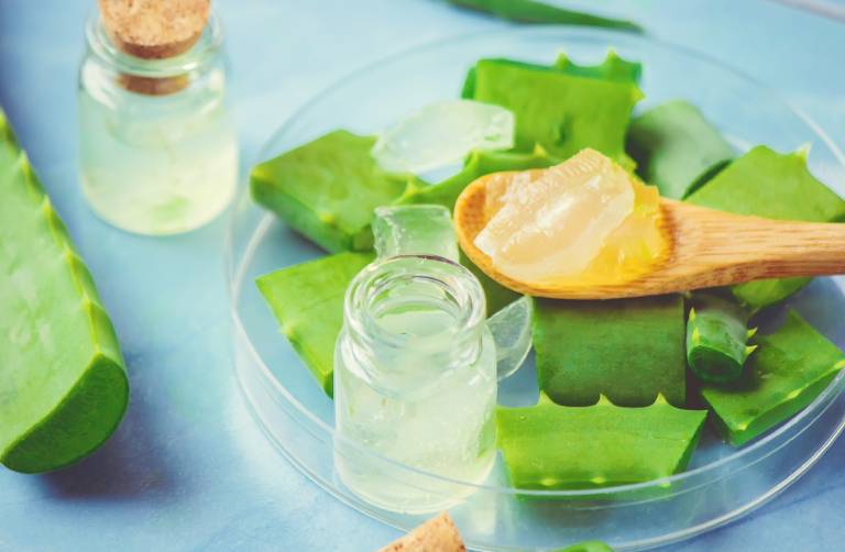 Gel nha đam giúp cải thiện bệnh trĩ