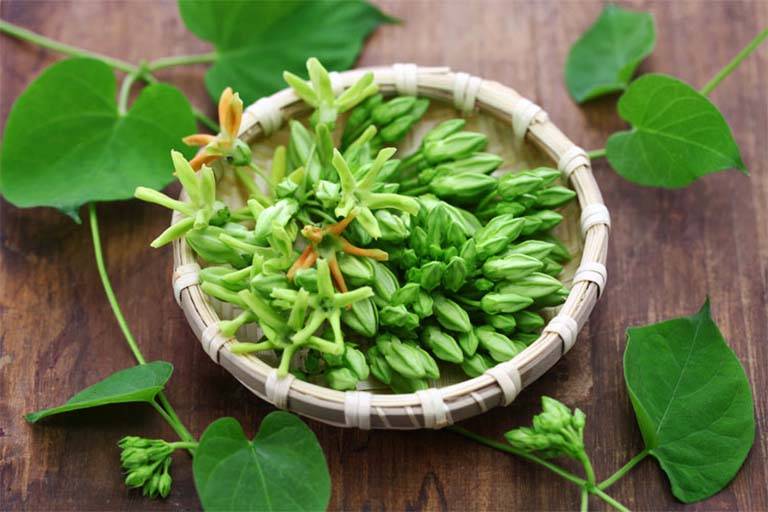 Lá và hoa thiên lý hỗ trợ cải thiện triệu chứng bệnh trĩ 
