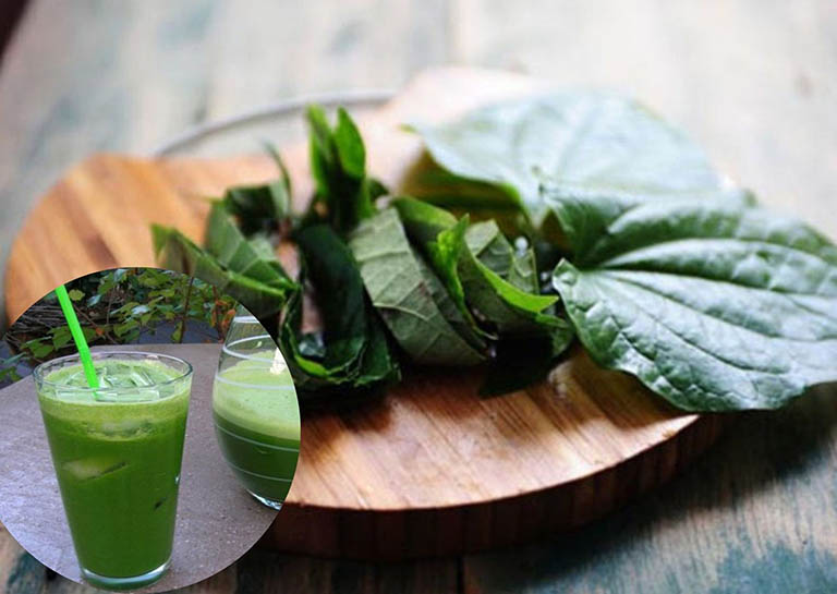 chữa gai cột sống bằng lá lốt