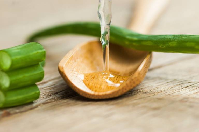 Chữa bệnh trĩ giai đoạn đầu với gel nha đam