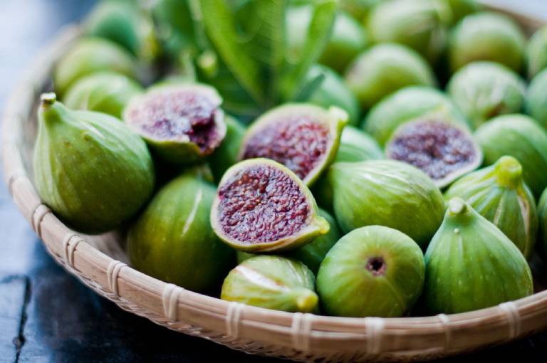 Tác dụng của quả sung trong chữa bệnh trĩ