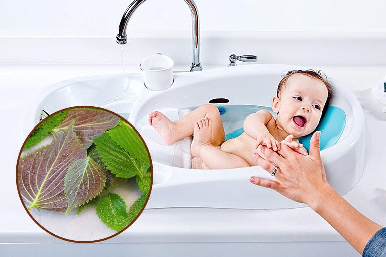 tác dụng của lá tía tô với trẻ sơ sinh