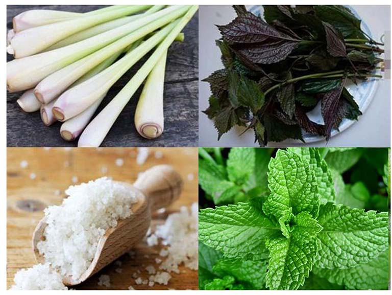 tác dụng của lá tía tô với trẻ sơ sinh