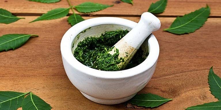 Xương rồng kết hợp với muối biển cải thiện bệnh lý